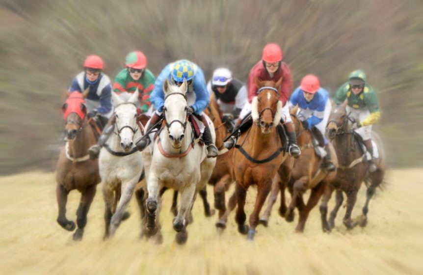 Point-to-point. Overton Farm.