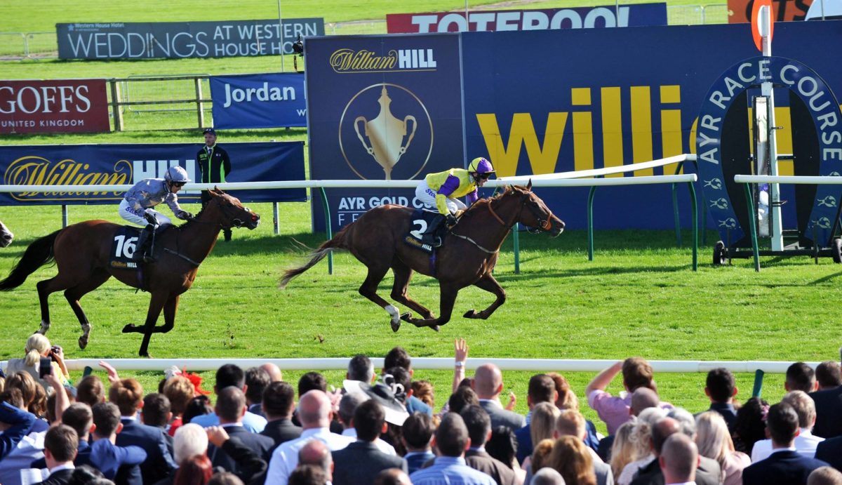 William Hill Ayr Gold Cup. Race meeting preview.