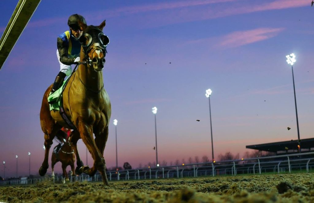 Floodlit racing at Kempton Park latest fixture news.