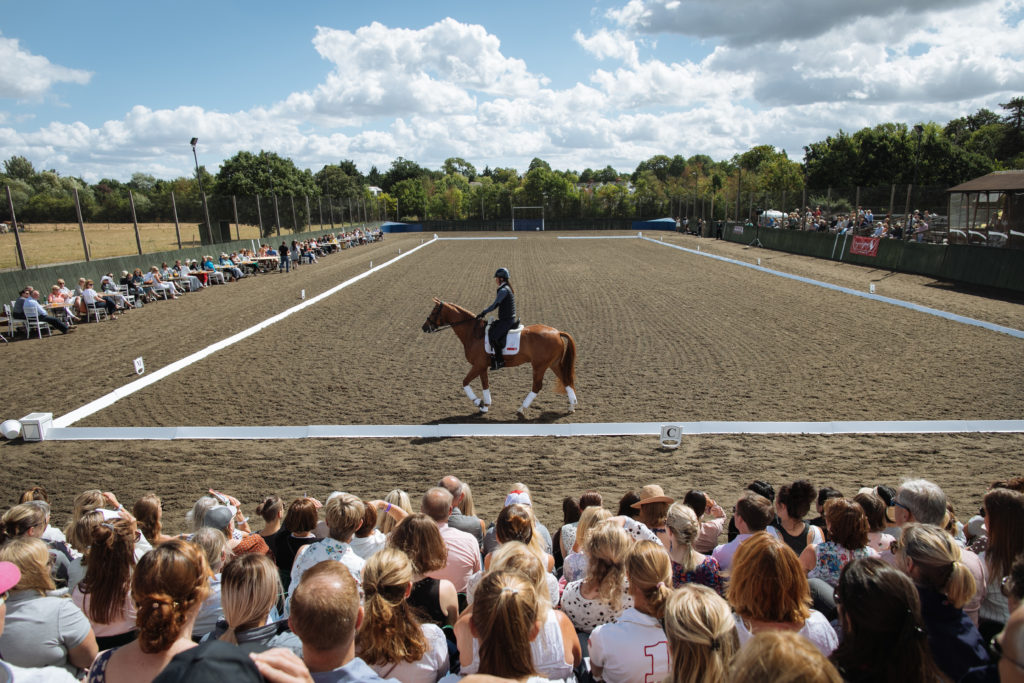 hurlingham polo international day