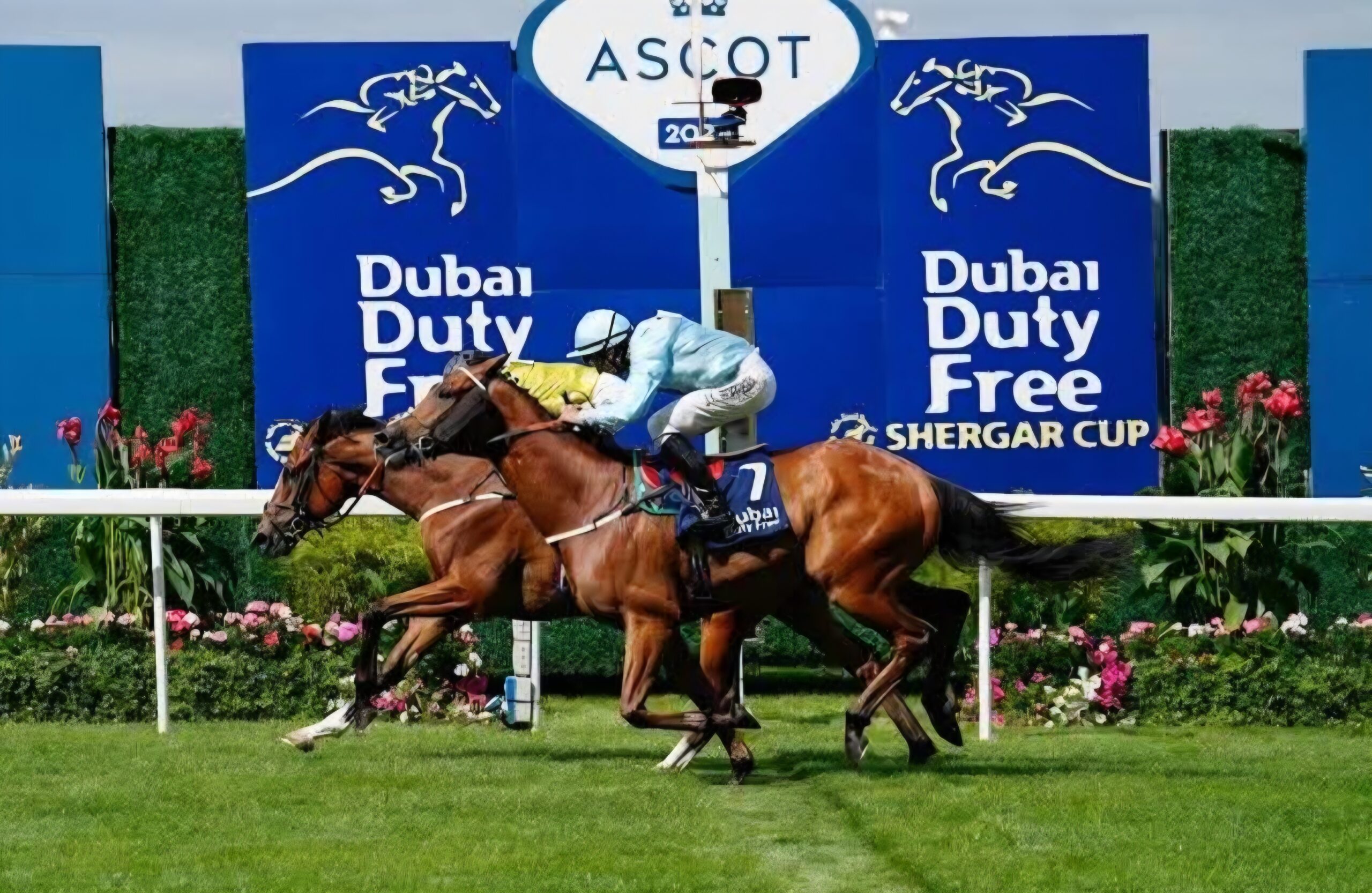 Shergar Cup tickets