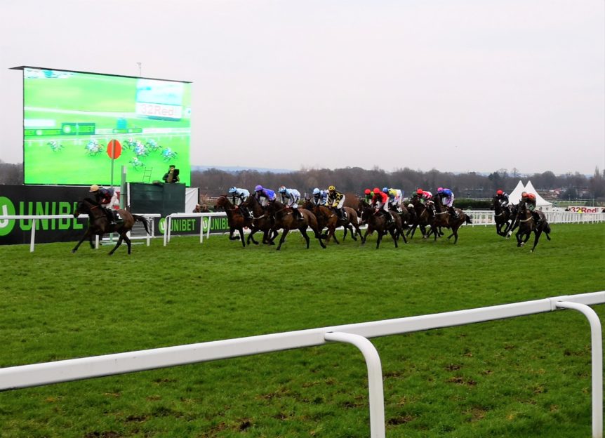 tingle creek chase