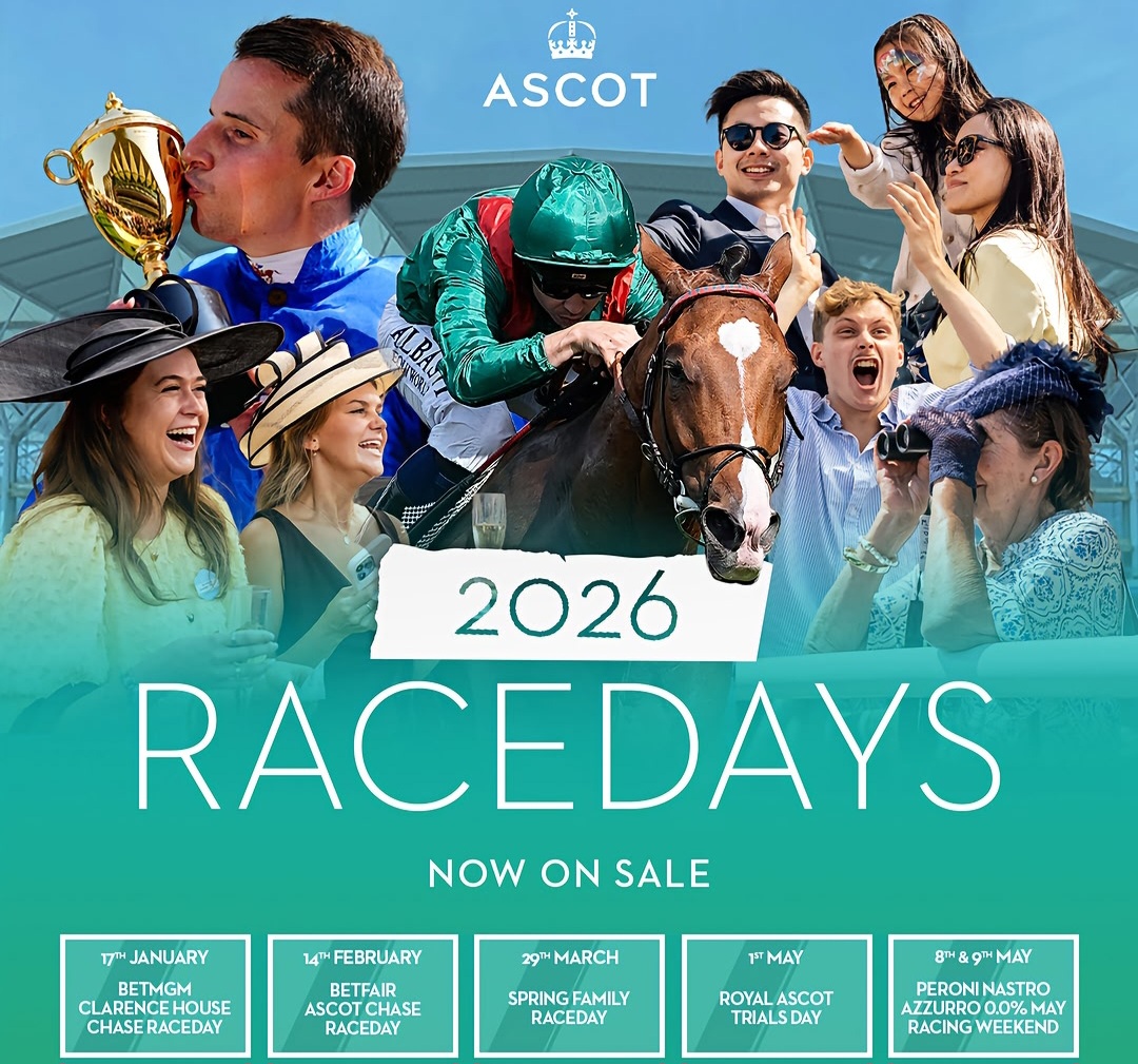 Clarence House Chase Raceday tickets